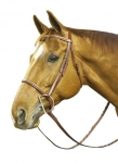 COLLEGIATE RAISED FANCY STITCHED BRIDLE