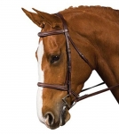 COLLEGIATE SQUARE RAISED BRIDLE