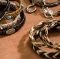 Cowboy Collectibles Woven Horse Hair Toggle Bracelets