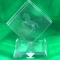 Crystal Weight Etched Rearing Horse on base