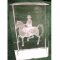 Crystal Weight w/Dressage Horse Etching