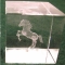 Crystal Weight w/Rearing Horse Etching - Lg