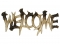 Deer Antler Welcome Plaque