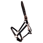 Deluxe Leather Track Halter 3/4" Pony