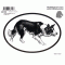 Dog Decal - Border Collie