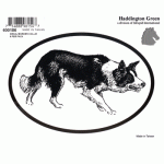 Dog Decal - Border Collie