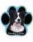 Dog Paw Mousepads - Border Collie