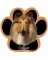 Dog Paw Mousepads - Collie