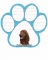 Dog Paw Notepads - Irish Setter