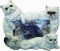 Dog Picture Frame - Himalayan Cats (4x6)