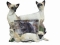 Dog Picture Frame - Siamese Cats (4x6)