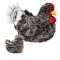 Douglas Pepper Black Hen and Chick Plush Chicken - FREE Shipping