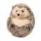 Douglas Spunky Hedgehog Large Plush - FREE Shipping