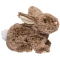 Douglas Taylor Mocha Bunny- FREE Shipping