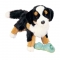 Douglas Trevor Bernese Mountain Dog Plush - FREE Shipping