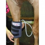 Equomed Knee or Fetlock Compression Boot no Gel Packs