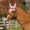 Fancy Crochet Fly Veil Pony