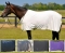 Fenwick Equestrian Sporty Dress Sheet