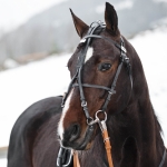 Finn-Tack American Beta Bridle Pro (11586)