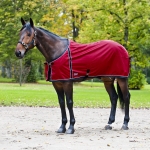 Finn-Tack Enstex Summer Blanket