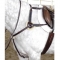 Five Point Breastplate Cob Black