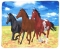 Fleece Throw with Three Galloping Horses