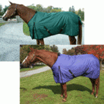 Free Runner Blanket Purple 80