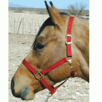 Halters for sucklings weanlings and ponies | Poly turn out halters