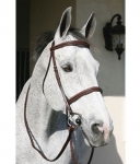 HDR Pro Plain Raised Padded Bridle