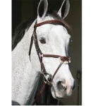 HDR Pro Stress Free Raised Figure 8 Bridle