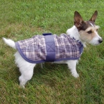 High Spirit Fleece Plaid Dog Coat