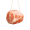 Himalayan Salt Animal Wellness Lick on A Rope – 5 LBS