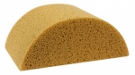 Honeycomb Body Sponge