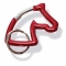 Horse Head Carabiner Key Ring / Key Chain