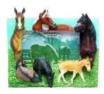 Horse Picture Frame - Colts