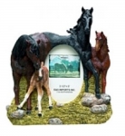 Horse Picture Frame - Horse Family