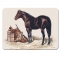 Horse & Saddle Tempered Glass Cutting Board
