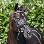 Horze Bridle with Heavy Diamonds