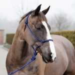 Horze Caspar Halter with Lead