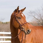 Horze Champion Snaffle Show Bridle - Oakbark