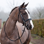 Horze Daily Bridle