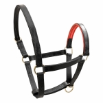 Horze Finn-Tack Leather Halter with Soft Padding