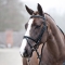 Horze Gorgeouz Bridle