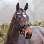 Horze Livorno Snaffle Bridle