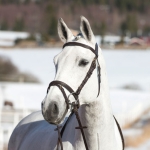 Horze Lormont Bridle