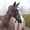 Horze Mexican Bridle