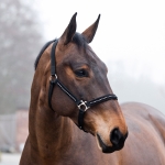 Horze Nylon Halter with Diamonds