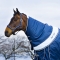 Horze Royal Equus Exclusive Winter Rug 840D Heavy Weight Turnout Blanket