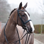 Horze Wembley Bridle