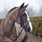 Horze Zparkel Fine Bridle